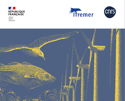 Eoliennes en mer & biodiversité